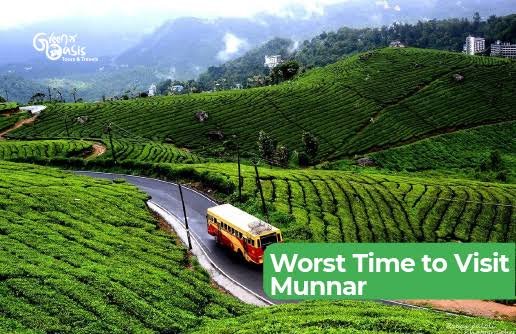 Worst Time to Visit Munnar: Guide for Kerala Travelers