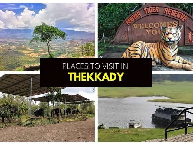 Places to Visit in Thekkady: Periyar & Spice Gardens